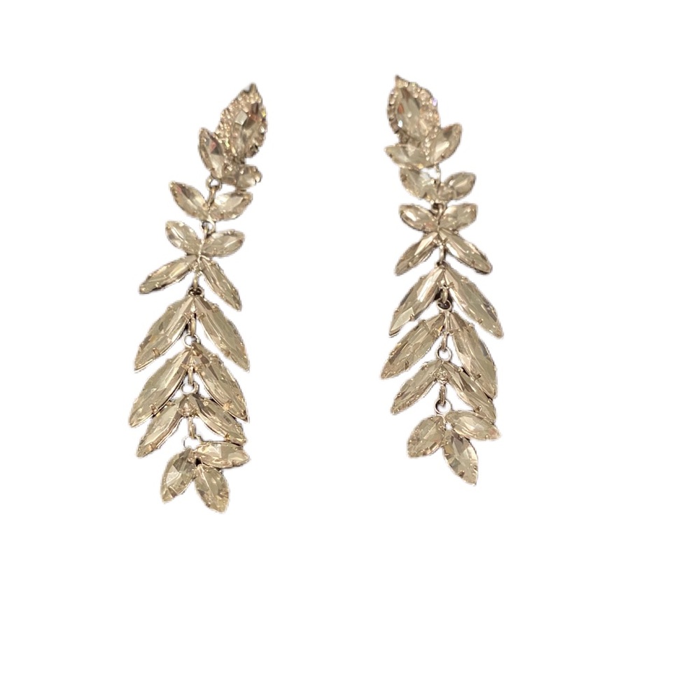 Silver Costume Earrings